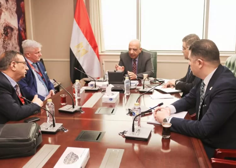 Egypt advances local manufacturing, technology transfer in renewable energy projects 11 - Egyptian Gazette