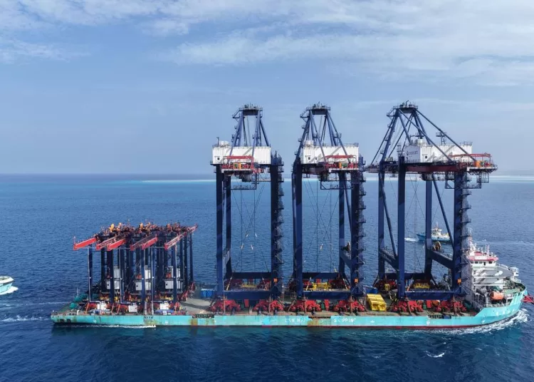 Safaga 2 multi-purpose terminal upgrades capacity with state-of-the-art cranes 10 - Egyptian Gazette