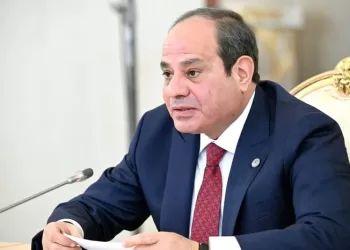 President Sisi reviews economic performance, urges boosting forex amid regional pressures (Update)