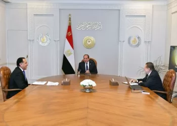 President Sisi reviews economic performance, urges boosting forex amid regional pressures (Update)