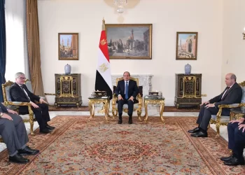 President Sisi receives ICAO chief, says Egypt to expand airport capacity
