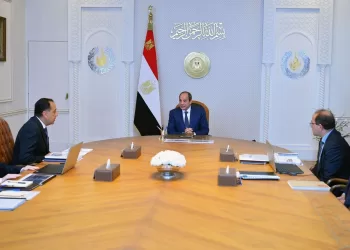 Sisi reviews economic reform, development plans  