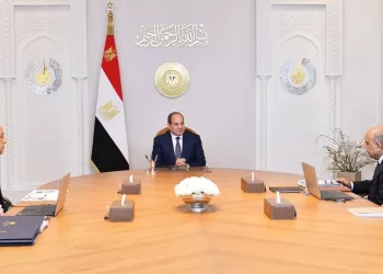 President Sisi urges accelerated renewable energy expansion to ensure power stability