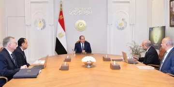 President Sisi urges accelerated renewable energy expansion to ensure power stability