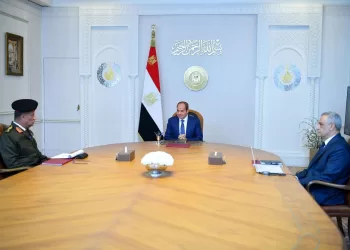 Sisi reviews progress of projects implemented by military production companies (Update)