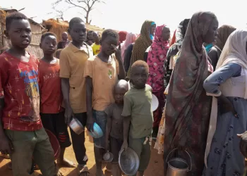 Germany seeks $1b in aid for Sudan