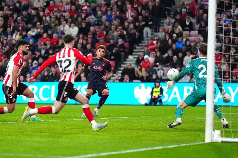 Forest boosts EPL safety hopes 14 - Egyptian Gazette