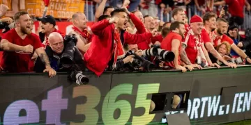 UEFA probes photographer injuries