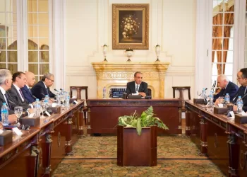 Cairo, AmCham promote Egypt-US investment, trade ties