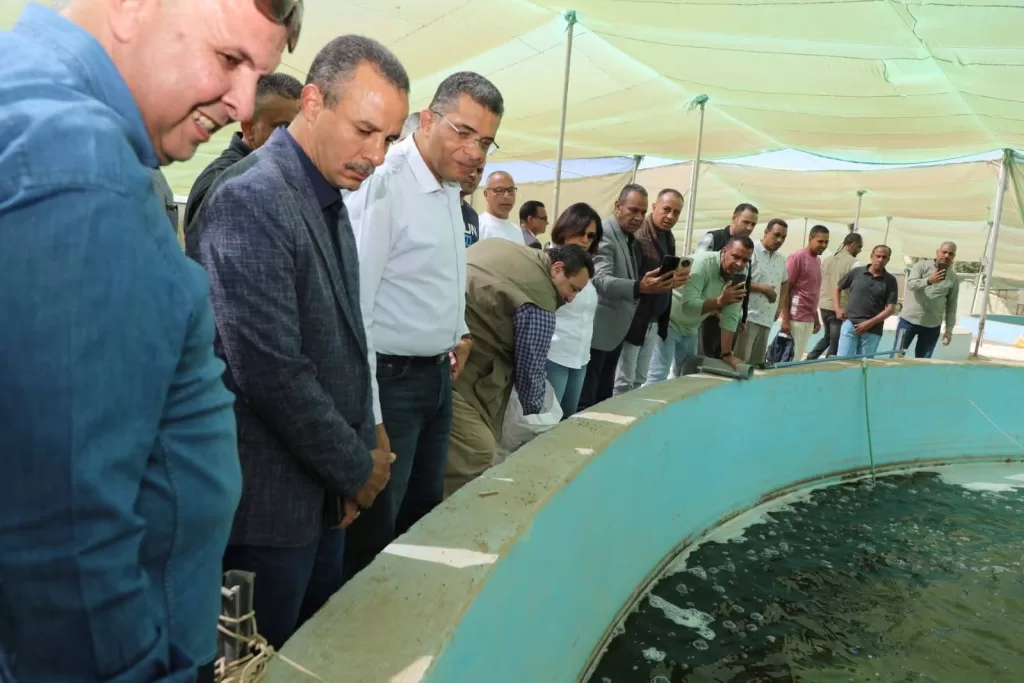 Egypt steps up development drive in southern border towns 29 - Egyptian Gazette