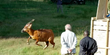 Zoo