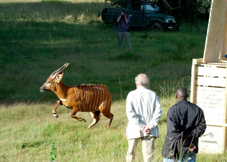 Zoo