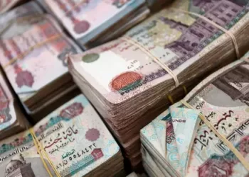 Egypt strengthens social sectors with higher budget allocations
