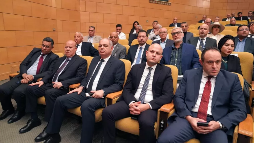 Egypt opens new horizons for private sector aviation investments 20 - Egyptian Gazette