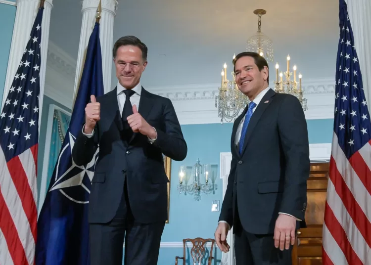 Rutte faces a fresh test as Trump turns on NATO over Iran 11 - Egyptian Gazette
