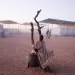 “Over 1m Sudanese refugees in Chad face drastic aid cuts”