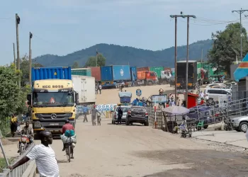 WHO: 906 suspected Ebola cases, 223 suspected deaths