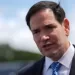 Rubio: NATO alliance has to be good for all involved 2 - Egyptian Gazette Rubio: NATO alliance has to be good for all involved