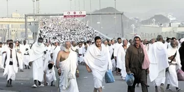 Warm reception for Egyptian pilgrims reflects historic Cairo–Riyadh bonds 1 - Egyptian Gazette Warm reception for Egyptian pilgrims reflects historic Cairo–Riyadh bonds