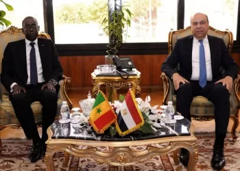 Egypt, Senegal eye stronger aviation links