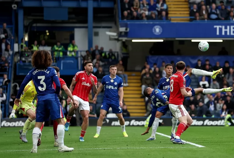 Calum backs Chelsea after Forest loss 18 - Egyptian Gazette Calum backs Chelsea after Forest loss 17 - Egyptian Gazette