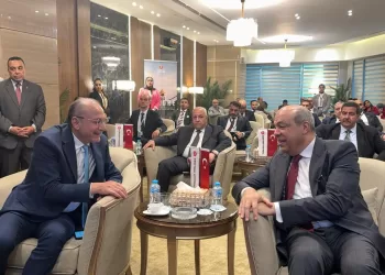 Egypt, Türkiye look to skies to deepen ties