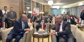 Egypt, Türkiye look to skies to deepen ties