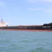 Damietta Port welcomes record-breaking bulk carrier “YANG FAN”