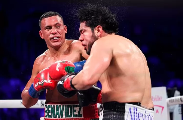 David claims WBA, WBO titles 13 - Egyptian Gazette David claims WBA, WBO titles 12 - Egyptian Gazette
