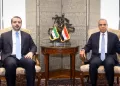 FM: Egypt backs Syrian sovereignty, rejects foreign interference