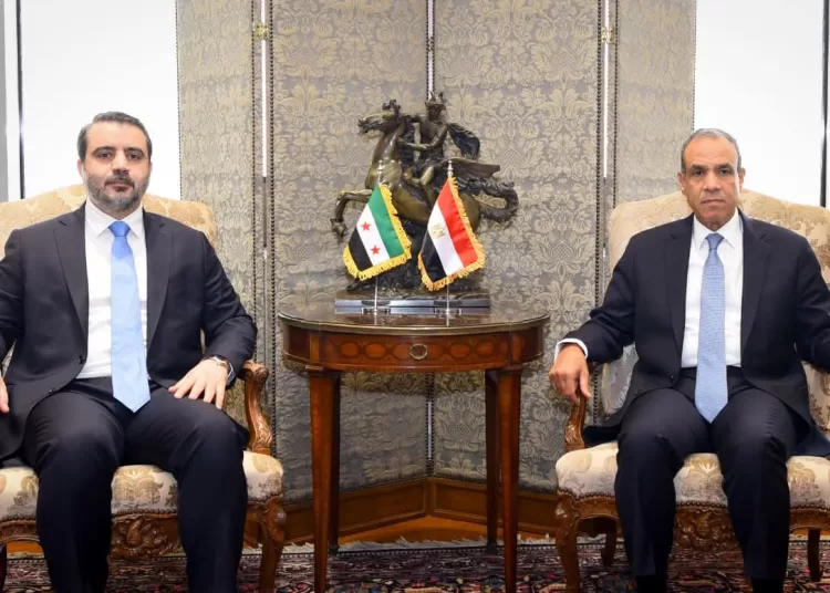 FM: Egypt backs Syrian sovereignty, rejects foreign interference 11 - Egyptian Gazette