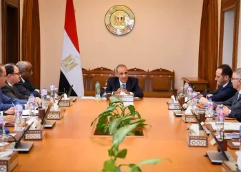 FM: Private sector key driver of Egypt’s economic engagement in Africa