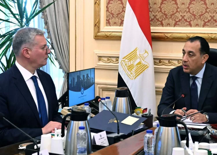 Egypt targets stronger global presence in phosphate and fertiliser markets 12 - Egyptian Gazette