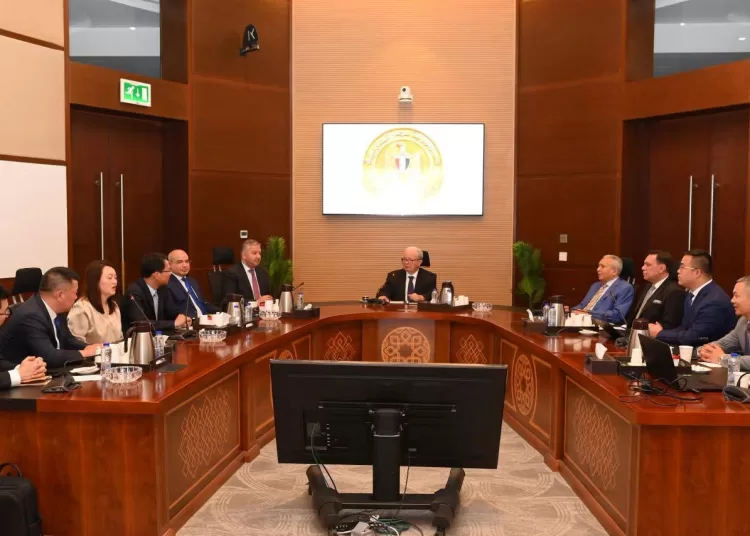 Deputy PM, Jiangsu Port Group delegation explore co-operation in ports, logistics sectors 11 - Egyptian Gazette
