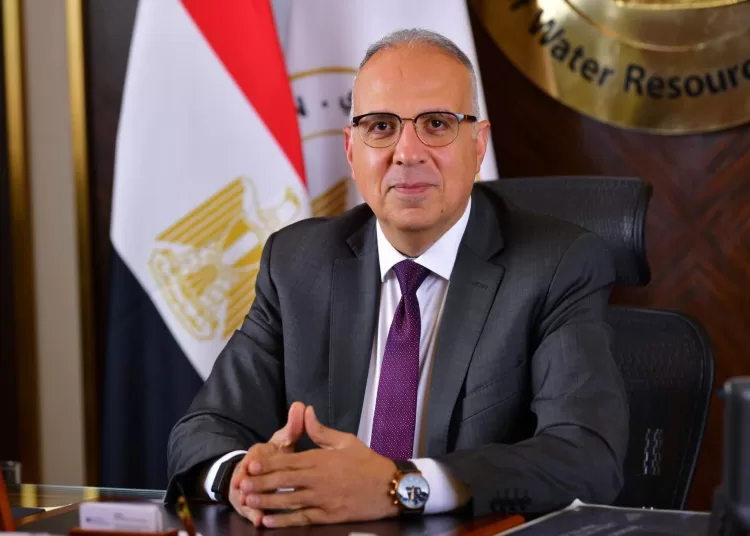 Egypt reaffirms support for continental water security on Africa Day 12 - Egyptian Gazette