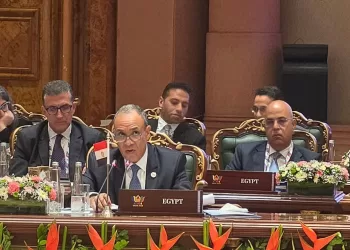FM joins BRICS meeting in New Delhi