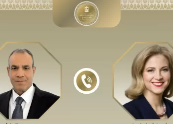Egypt, Austria FMs discuss regional developments, diplomatic solutions