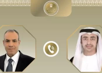 Egyptian, Emirati FMs discuss regional developments