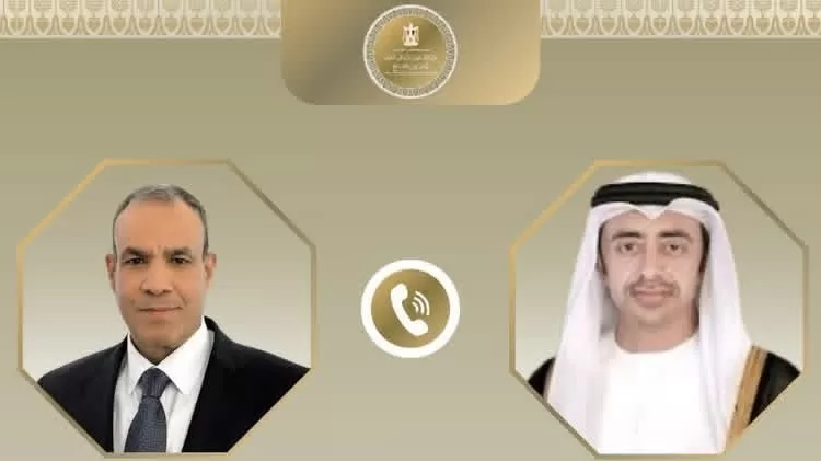 Egyptian, Emirati FMs discuss regional developments 10 - Egyptian Gazette