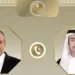Egyptian, Emirati FMs discuss regional developments
