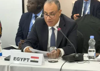 Egypt reaffirms commitment to Security Council reform at France–Africa Summit