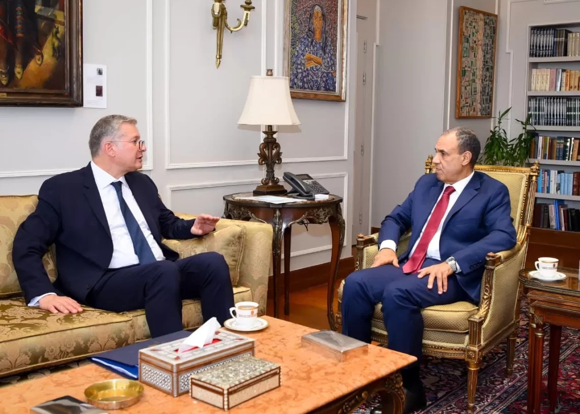 FM meets Petroleum Minister to boost energy investment cooperation 12 - Egyptian Gazette