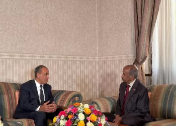 Egypt, Eritrea bolster partnership, regional co-ordination