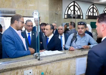 Egypt seeks to improve quality, accessibility of consular services