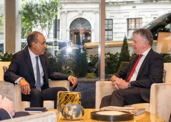 Egypt’s FM highlights need for de-escalation in talks with UK National Security Adviser