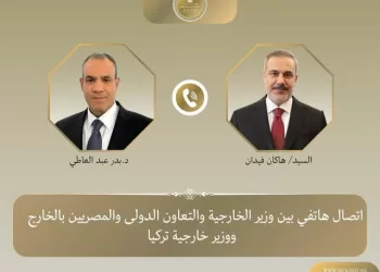 Egypt, Türkiye FMs discuss regional de-escalation efforts