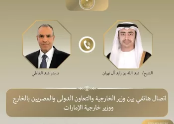 Egypt, UAE FMs probe bilateral ties, regional developments