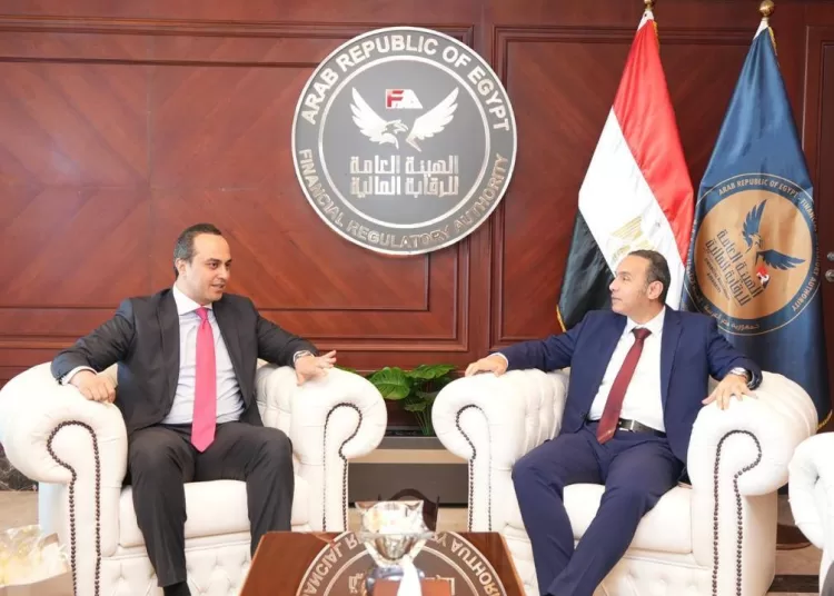 Bid to boost private health insurance, medical investment 12 - Egyptian Gazette