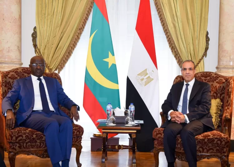 Egypt, Mauritania FMs discuss regional security, bilateral ties 12 - Egyptian Gazette