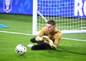 New keeper in France W. Cup squad